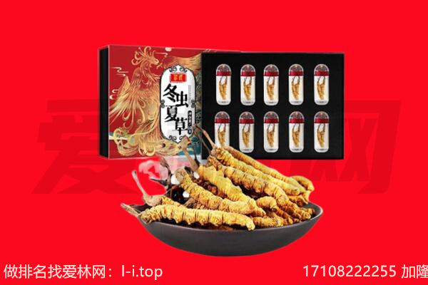 固原市回收虫草.jpg